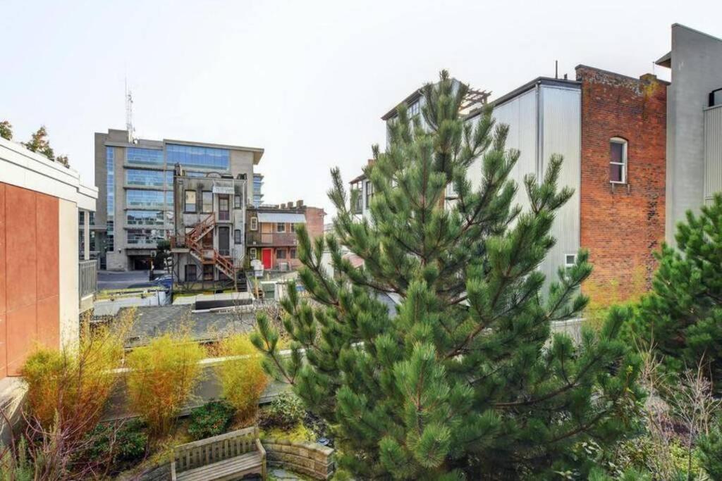 Clean 3Rd Floor Executive 1 Bedroom Apt In Old Town China Town Victoria Exterior foto